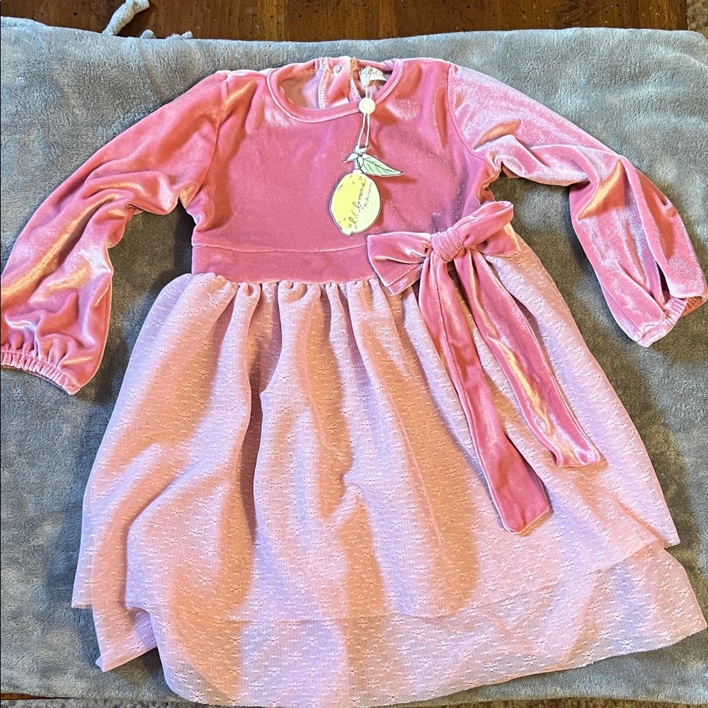 Lil’ Lemons Pink Velvet top Kids Dress